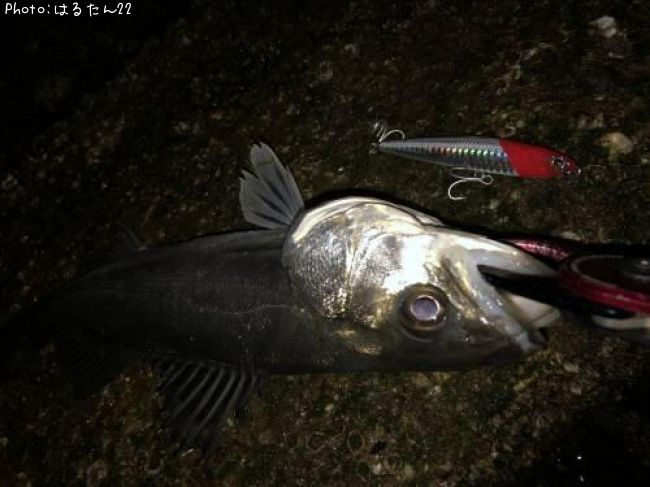 �����Х�