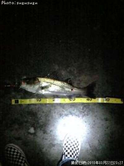 �����Х�