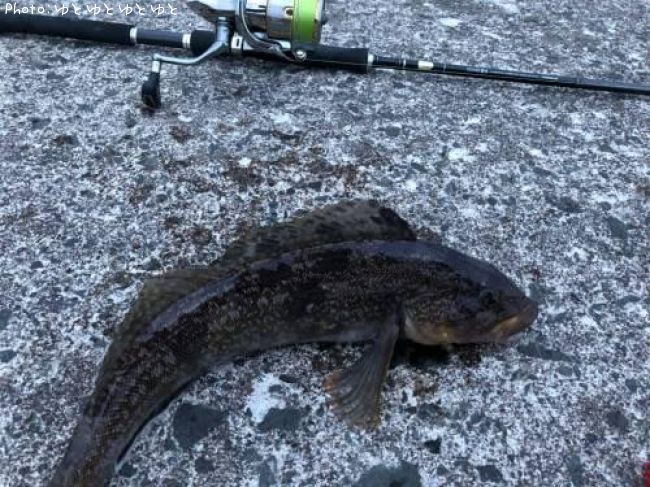 �����ʥ�