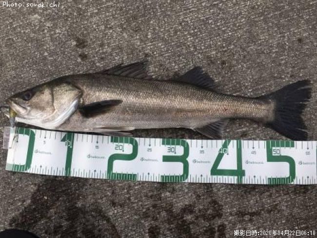 �����Х�