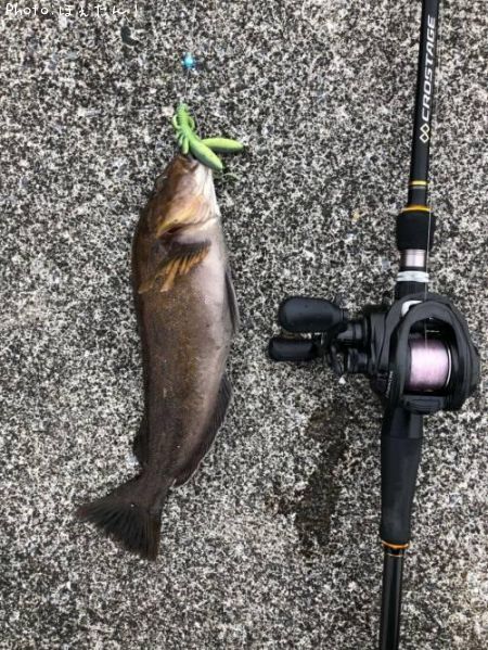 �����ʥ�