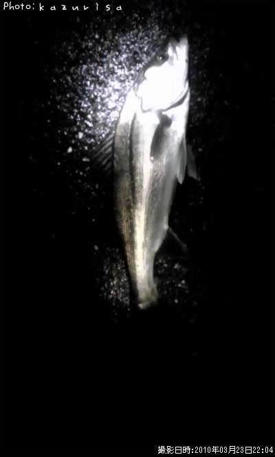 �����Х�