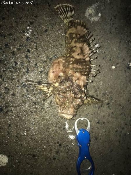 ���ˡ���������