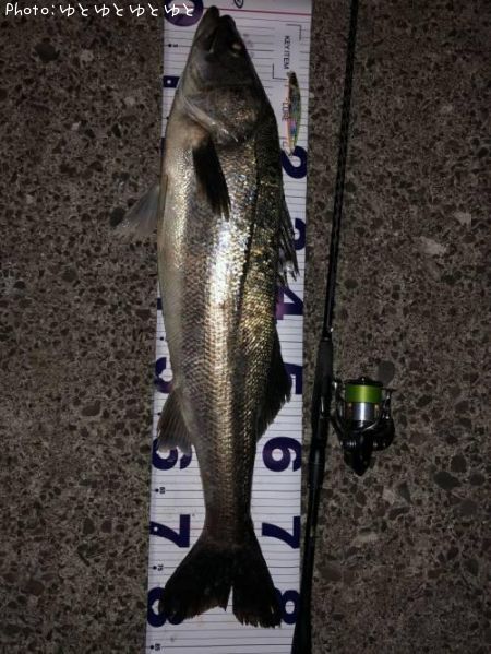 �����Х�