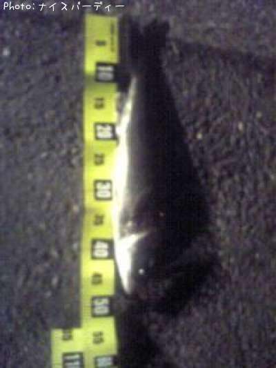 �����Х�