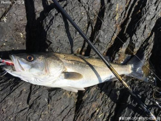 �����Х�