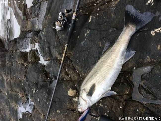 �����Х�