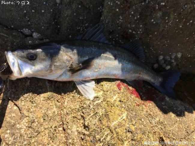 �����Х�