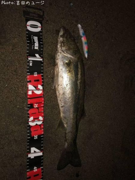 �����Х�