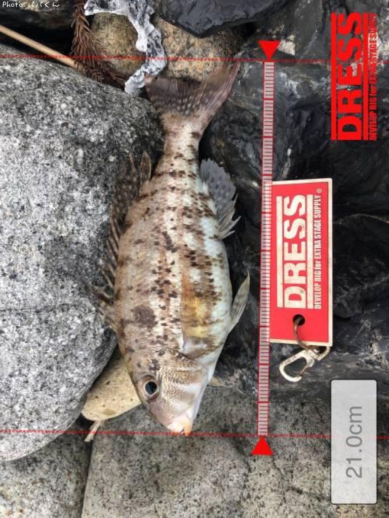 ���ȥե��ե�