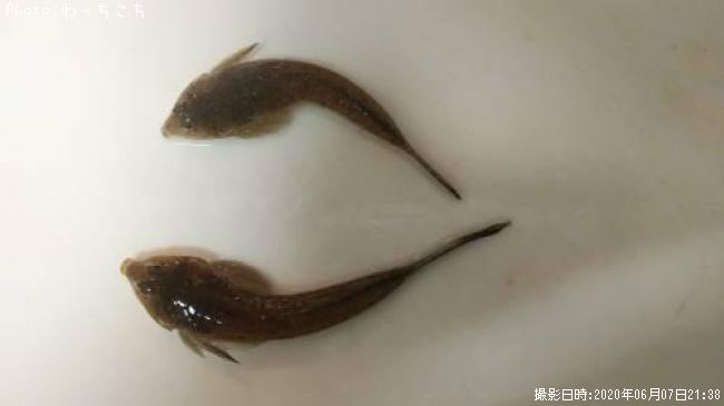 ���å���