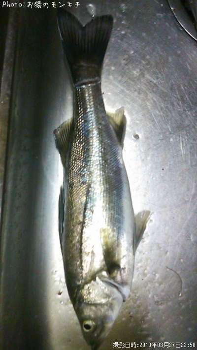 �����Х�