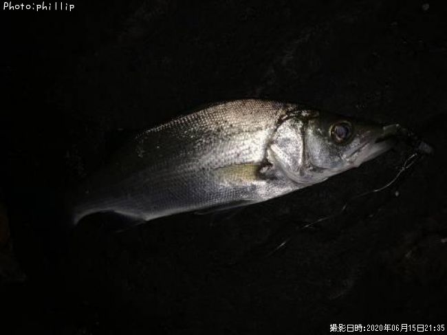 �����Х�