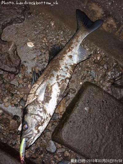 �����Х�