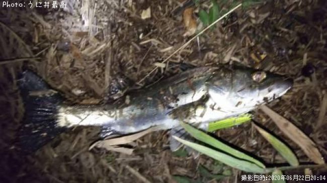 �����Х�