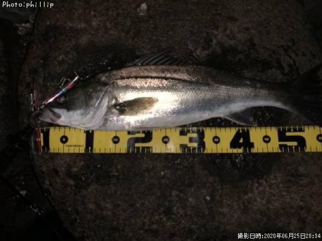 �����Х�