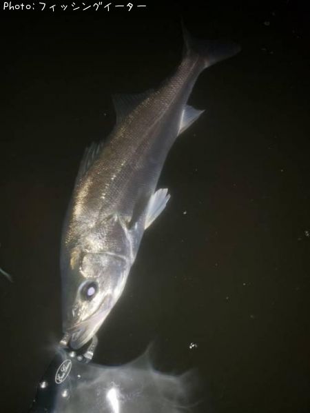 �����Х�