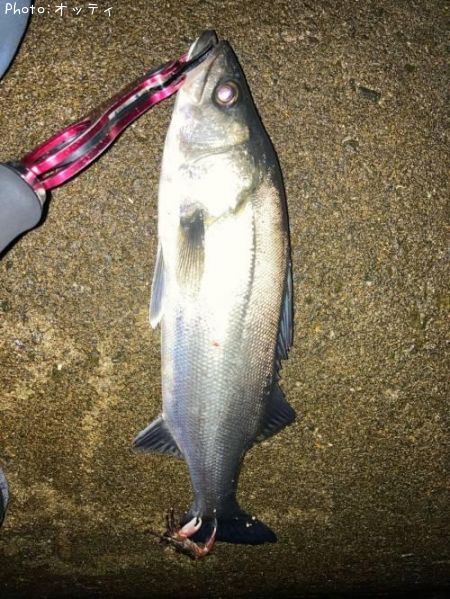 �����Х�