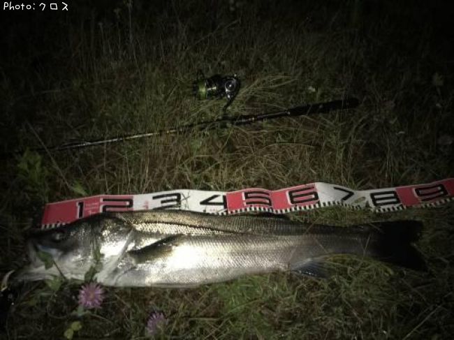 �����Х�