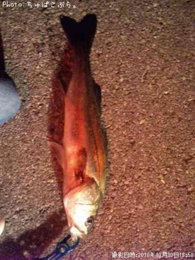 �����Х�