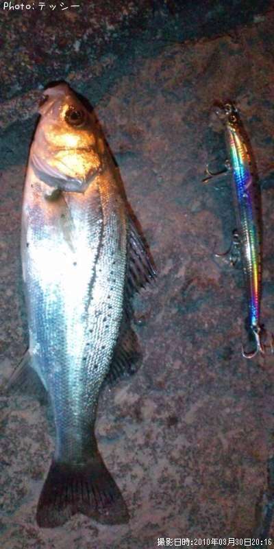 �����Х�