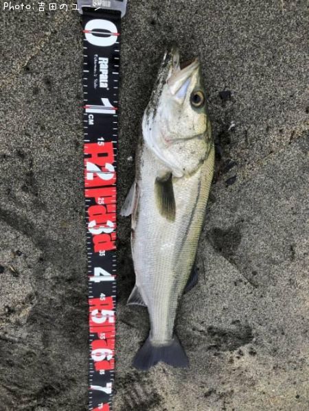 �����Х�