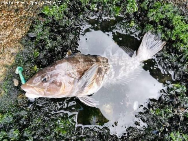 �����ʥ�