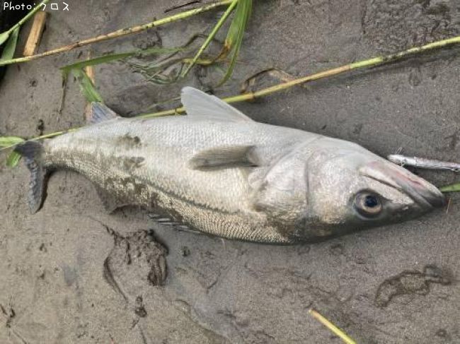 �����Х�