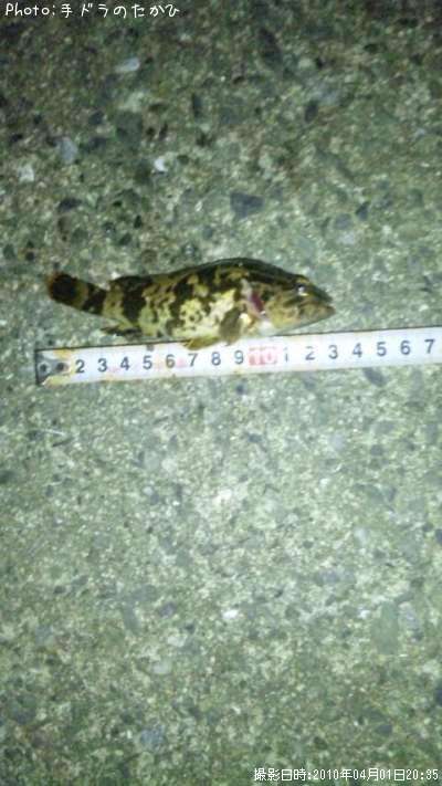 �����Υ���Х�