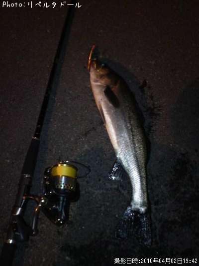 �����Х�