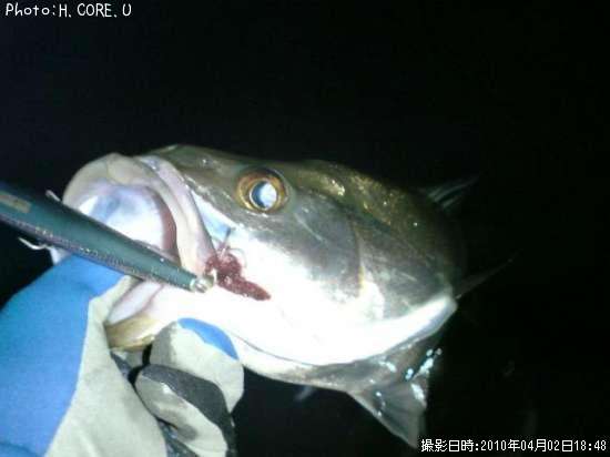 �����Х�