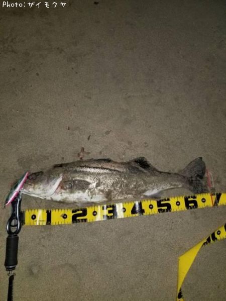 �����Х�