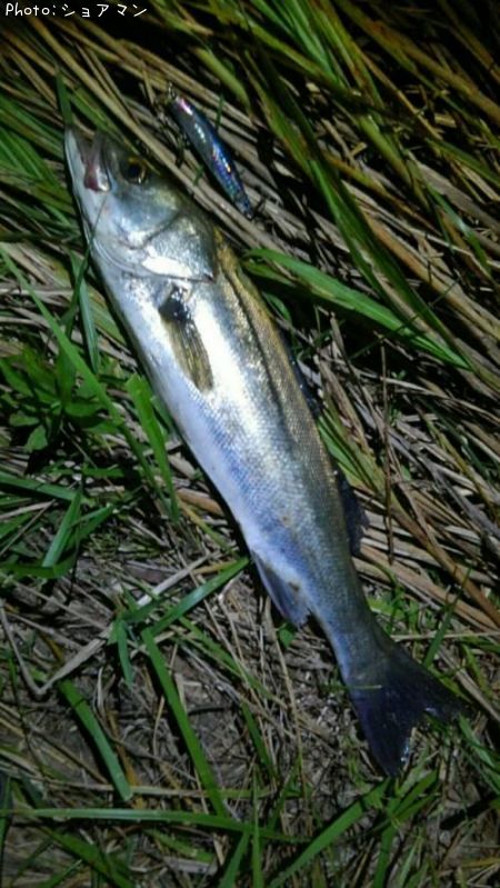 �����Х�