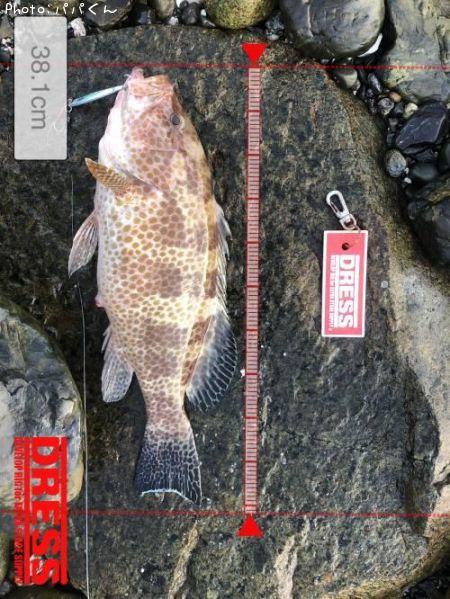 �������ϥ�