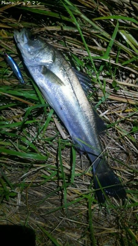 �����Х�