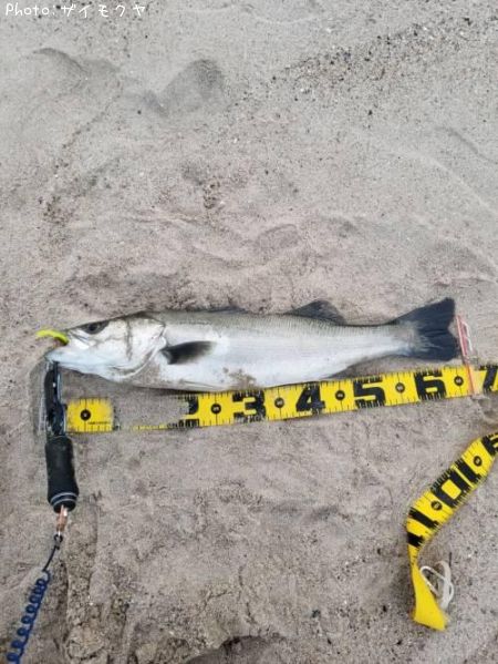 �����Х�