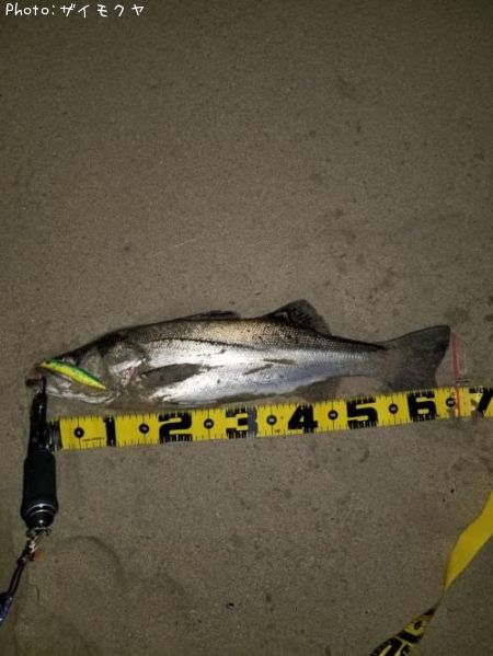 �����Х�