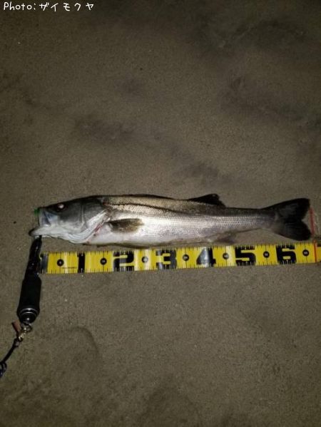 �����Х�