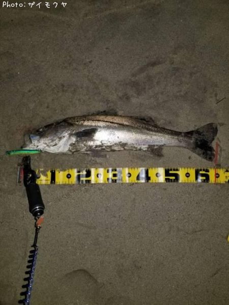 �����Х�