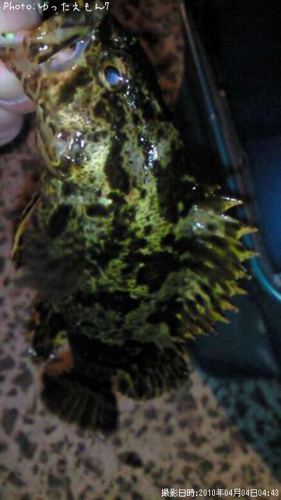 �٥å�������