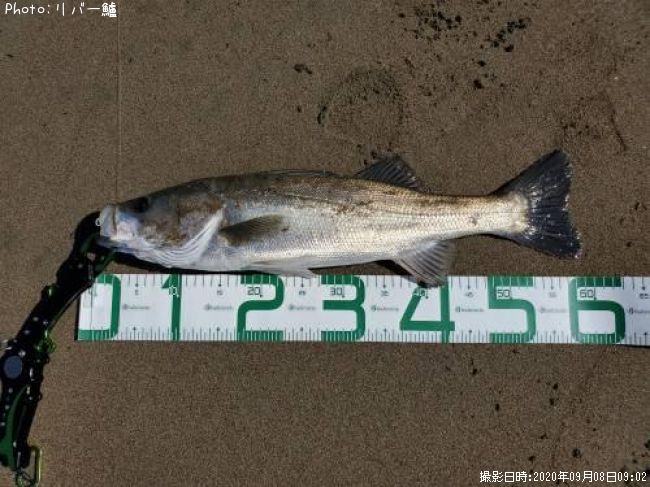 �����Х�