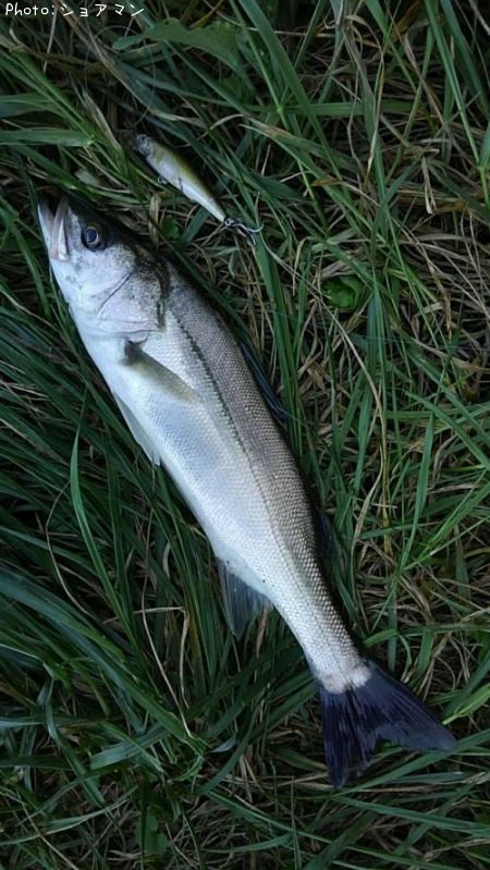 �����Х�