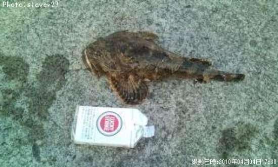 ���ॷ������