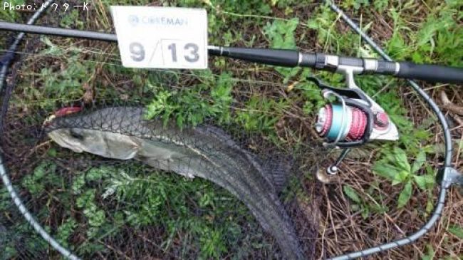 �����Х�