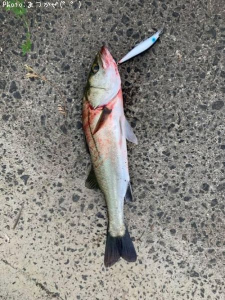 �����Х�