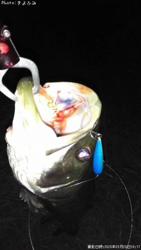 �����Х�