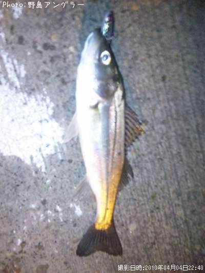 �����Х�