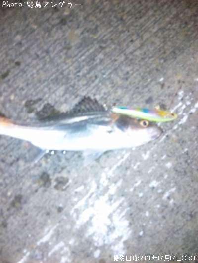 �����Х�