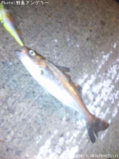 �����Х�