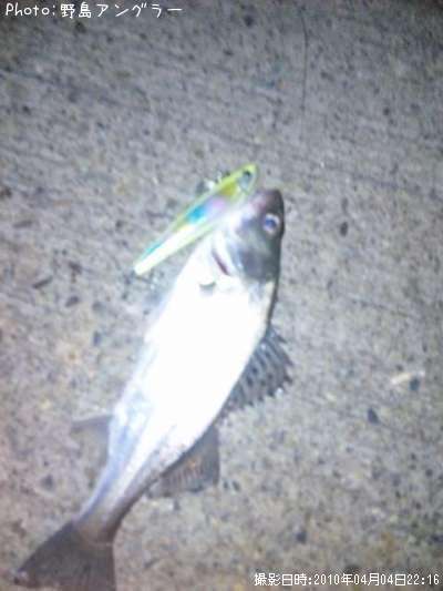 �����Х�